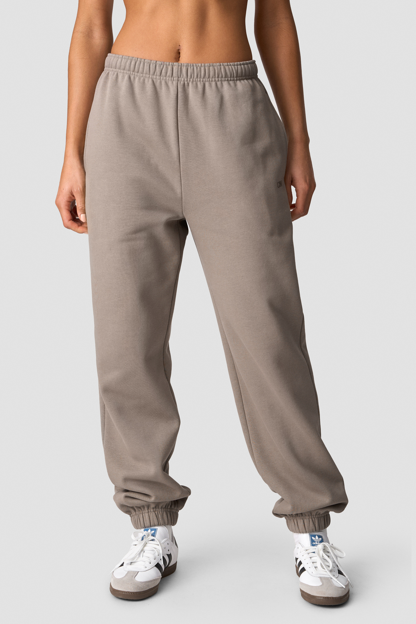 Everyday Sweatpants Wmn Greige - image 0