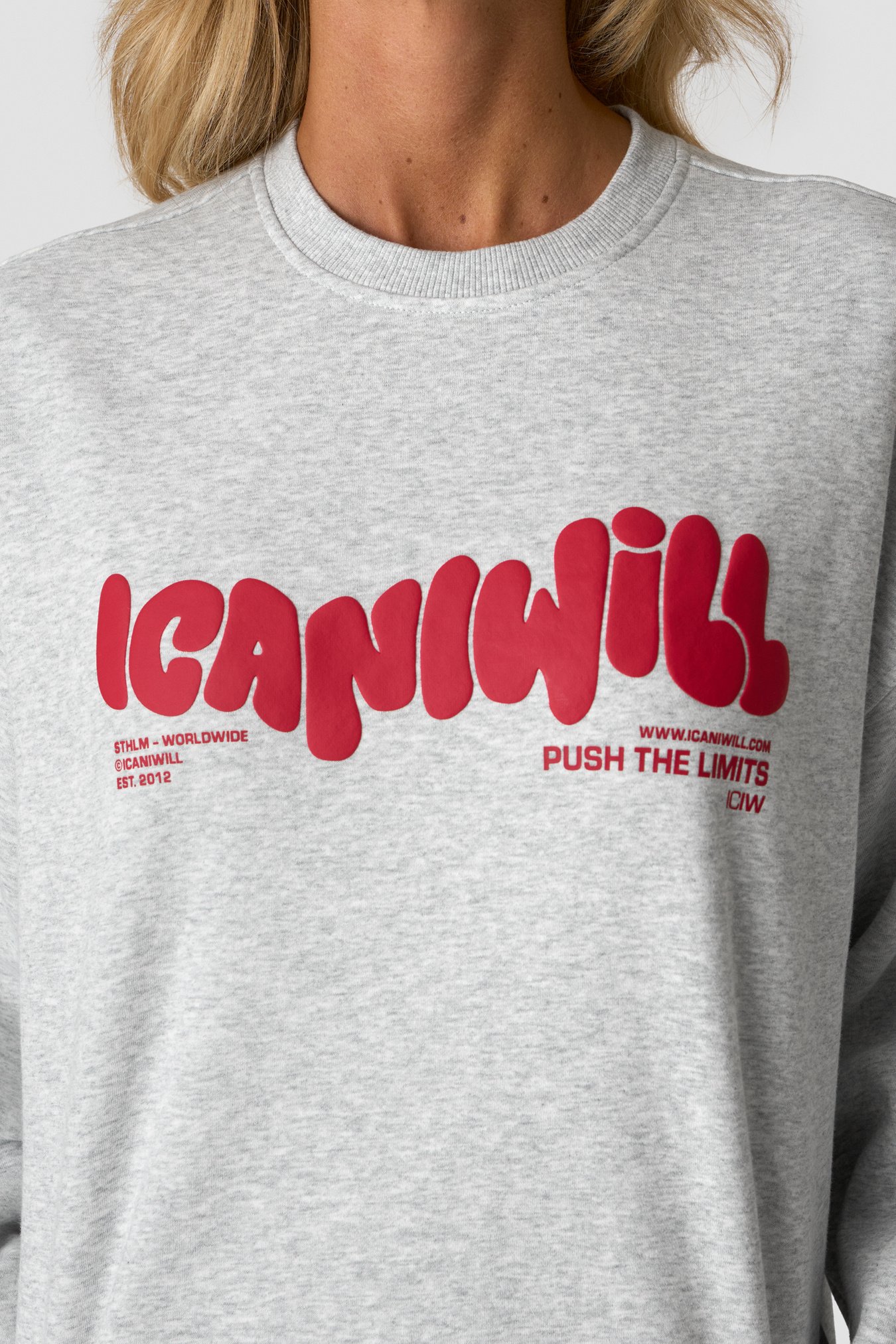 Everyday Relaxed Crewneck Print Light Grey Melange - Bild 4