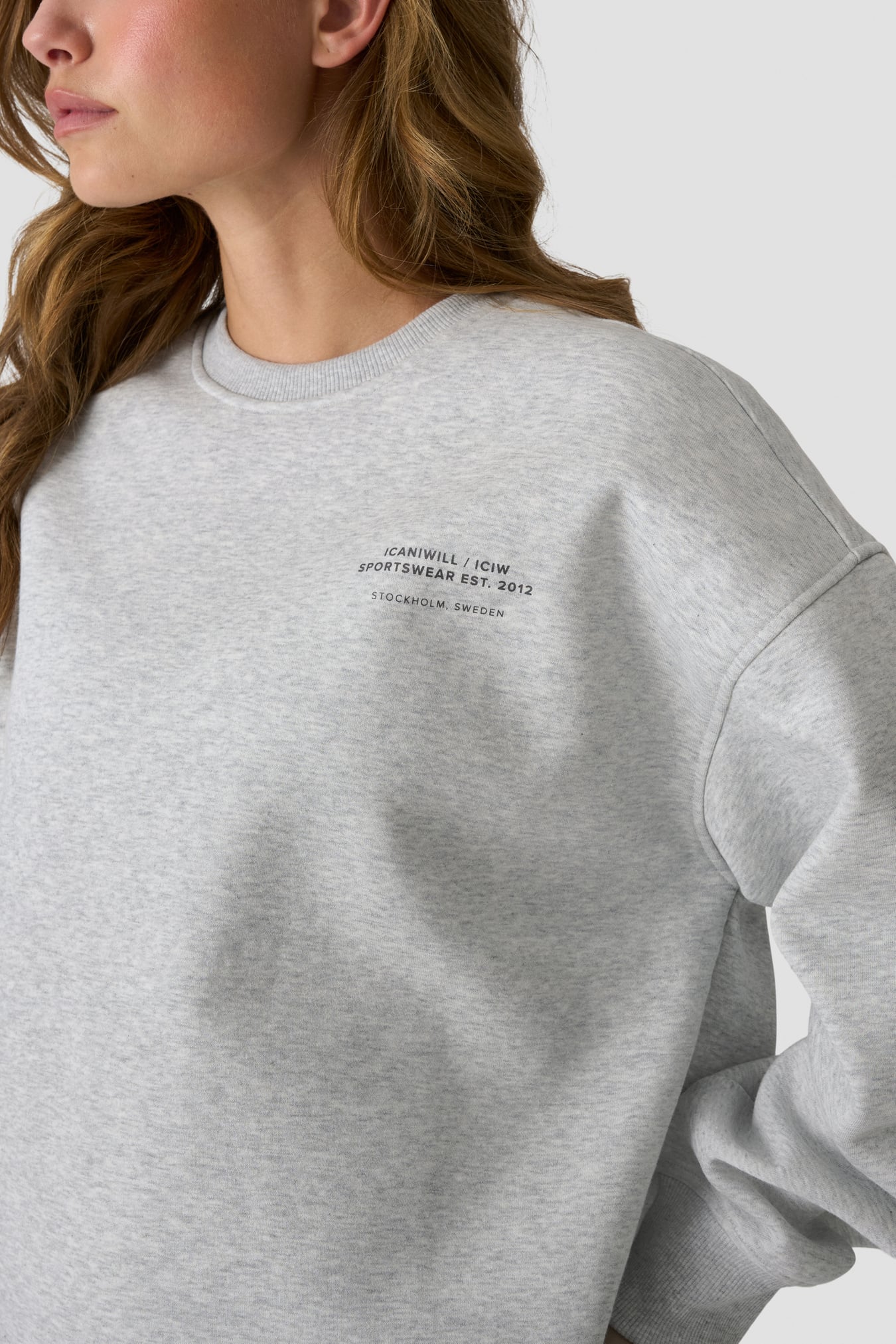 Everyday Relaxed Crewneck Print Light grey melange - immagine $