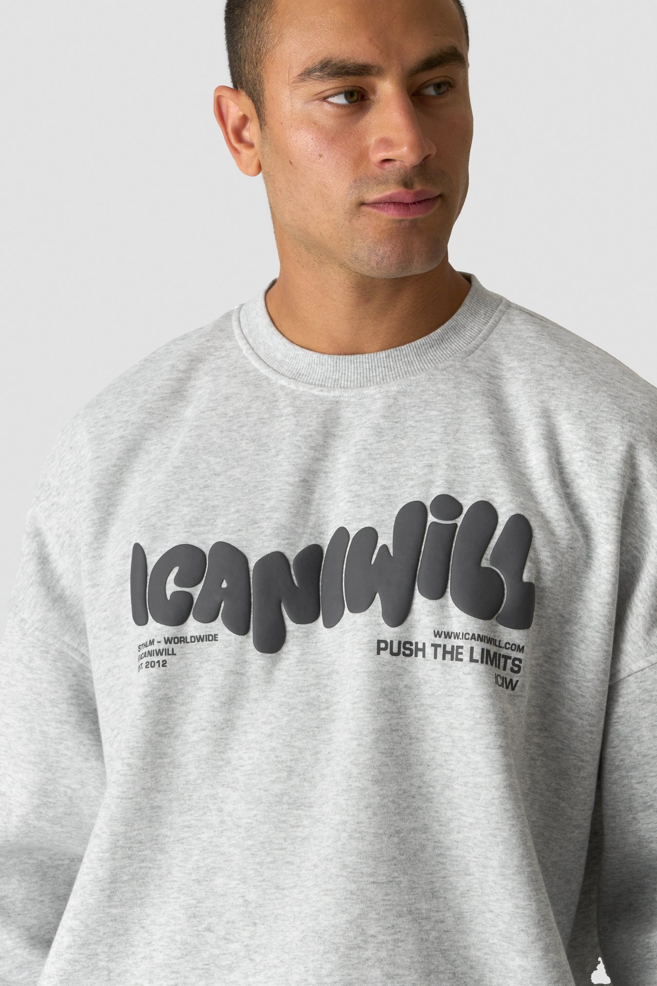 Everyday Relaxed Crewneck Print Light Grey Melange - kuva 4
